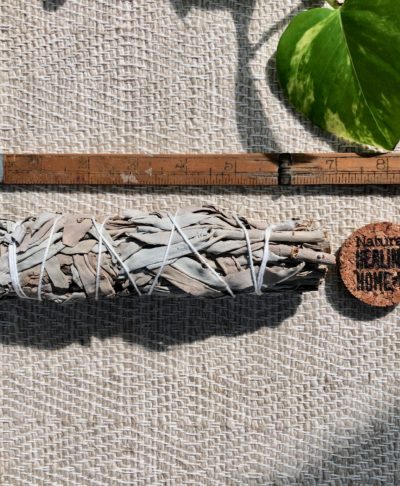 White Sage Medium 6 - 7 (15 - 17 cm)