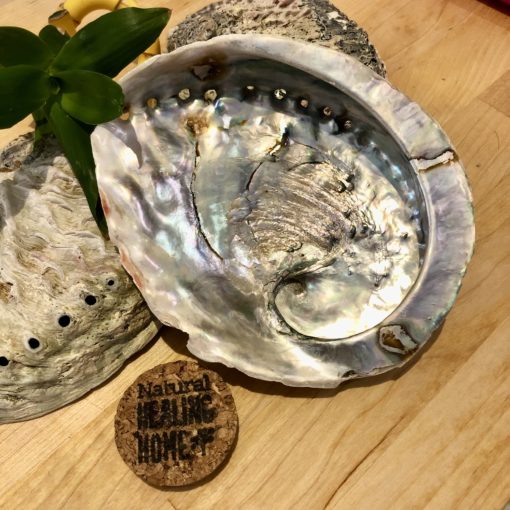 Abalone Smudge Bowl Space Cleansing