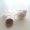 Lemurian Quartz CS388A