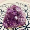 Amethyst Cluster