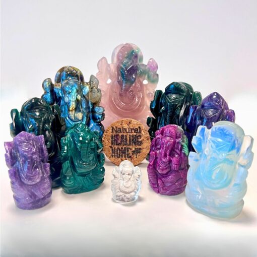 Ganesha Natural Healing Home
